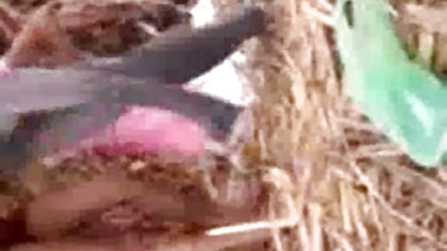 അശ്ലീലം ഓൺലൈനിൽ രജിസ്ട്രേഷൻ ഇല്ല 