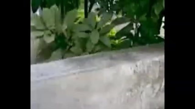 അശ്ലീലം ഓൺലൈനിൽ രജിസ്ട്രേഷൻ ഇല്ല ദേശി